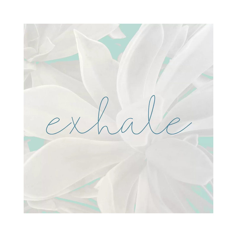 Exhale by Kimberly Allen - Wrapped Canvas Print, 93.98cm H x 93.98cm W x 1.905cm D
