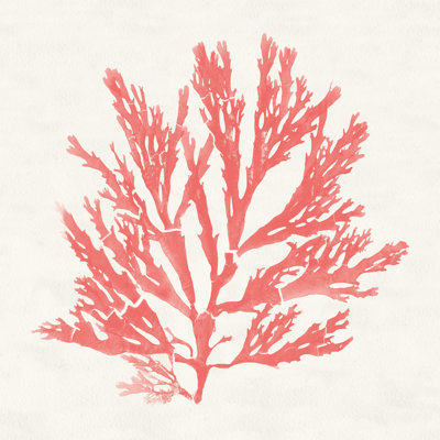 Pacific Sea Mosses I Coral by Wild Apple Portfolio - Wrapped Canvas Print