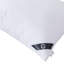 Coussin en coton (ensemble de 2)