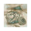 John Seba - Print on Canvas-49993610-101336168