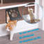 9.8'' W x 11.8'' H Plastic Door Mounted Pet Door