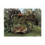 "La jungle IV" par Henri Rousseau sur toile-98248919