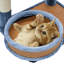 122cm H Cat Tree-67079535