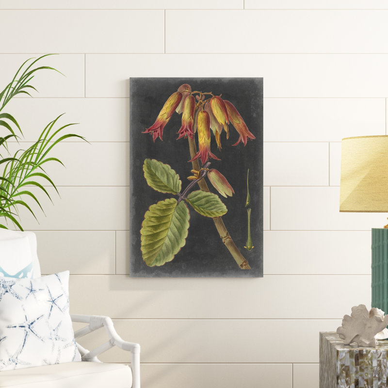 Dramatic Tropicals III, H 36 po x l 24 po x P 1,25 po