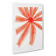 Starfish by Albert I - Wrapped Canvas-55318879