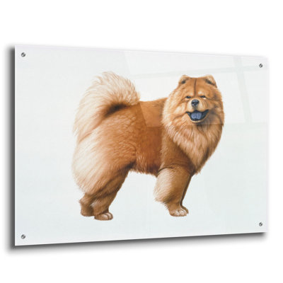 " Chow Chow " by Harro Maass