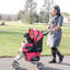 Poussette standard Regal Plus™-16633270