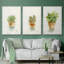 Succulent I, encadré sur toile, 3 pièces-163068310-163068307