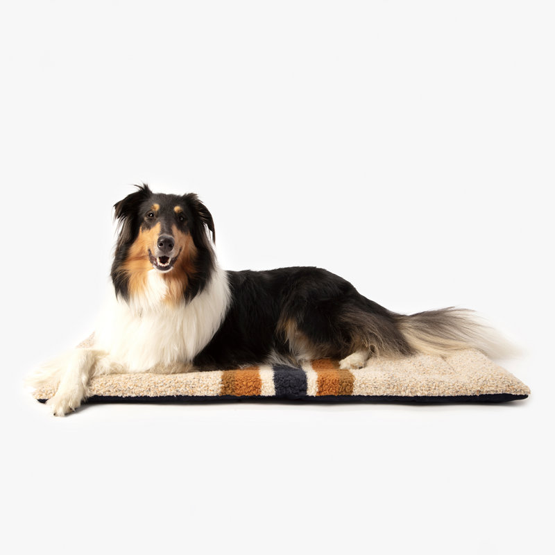 Pet Comfort Cushion, Small (30" W x 23" D x 2" H), Oatmeal