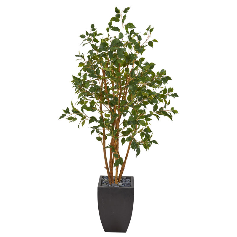 Ficus Artificial Tree in Black Planter