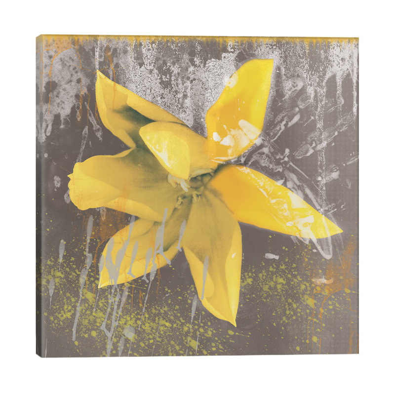 Yellow Tulip Fresco by Erin Clark - Wrapped Canvas Print, 45.72 cm H x 45.72 cm W x 1.91 cm D