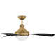 Burghard 50'' 3 Blade Ceiling Fan with LED Light Kit