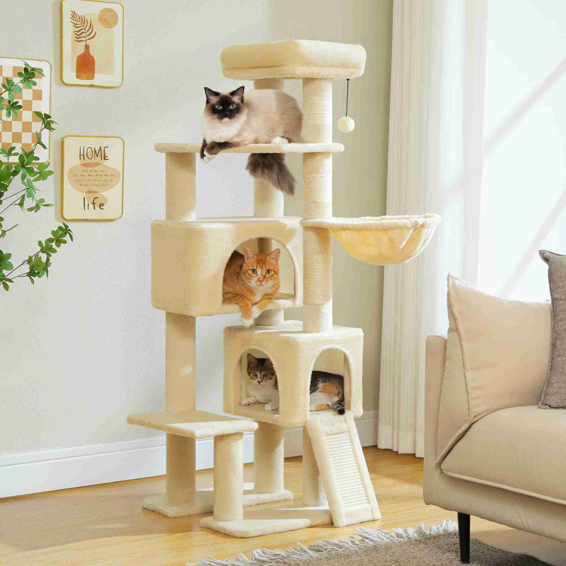 Arbre à chat, Beige