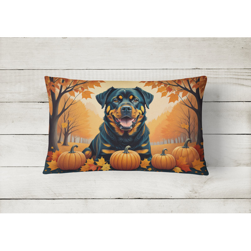Other/No Pattern Throw Pillow