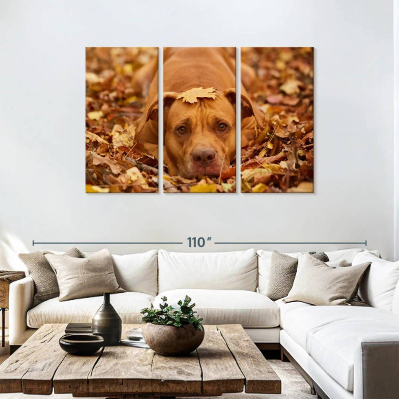 Cute Autumn Pitbull, 48" H x 74" W