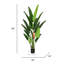 Plante tropicale en pot noir 7 pi