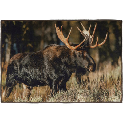 Tapis Moose