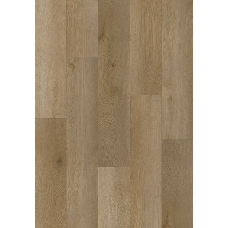 Revêtement de sol SPC de luxe CITADEL 8 mm 32 mil 9 po x 48 po avec système de verrouillage par clic - Chêne Talin