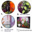 Blooming Urban Harvest With Poteries - ensemble d'art mural herbes florales-880042481