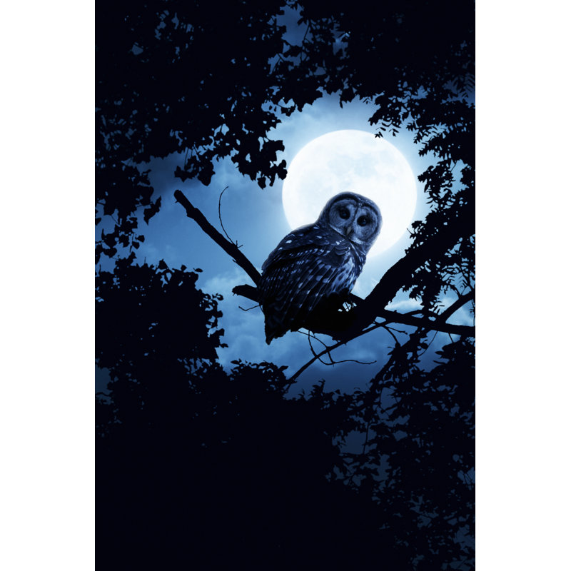 Owl Watching by Ricardoreitmeyer - Wrapped Canvas Print, 46cm H x 30cm W x 3.8cm D
