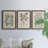 " Antique Black And White Botanical VII " 3 - Pieces-408395204-408395203