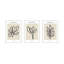 Foglio Botanica-1458085291-1458085292
