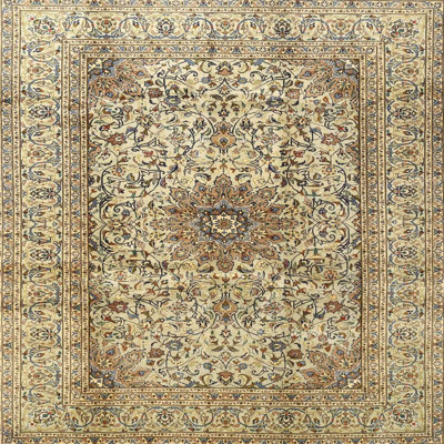 Oriental Indoor Rug