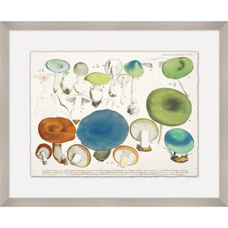 Modern Mushrooms 1 Print