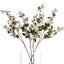 Arrangement-34404674