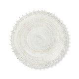 Medallion Jute / Sisal Area Rug in White