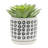 Patterned Outdoor Planters with Saucer for Living Room & Home Decor - Classic Indoor Planter Flower Pots for Patio Use - Set of 2,  6", 5", Ivory & Black-539194340