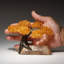 Small - Genuine Citrine Clustered Gemstone Tree on A Quartz Crystal (The Joyful Tree)