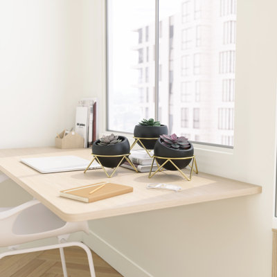 Arianwen Ceramic Pot Planter