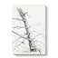 Study Of A Tree by Jean Bernard - Wrapped Canvas-55318896