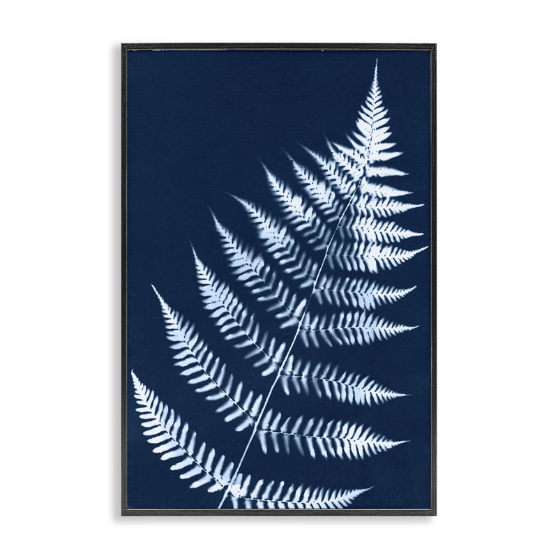 «Blue Fern Impression» par Jason Johnson bg-068, H 18 po x l 12 po, Giclée encadrée noir minuit