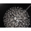 Lustre Perrion-2072134075-2023405440