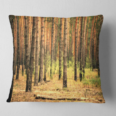 Magnifique forêt de pins au coucher du soleil - coussin décoratif imprimé forêt