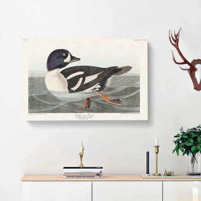 Golden-Eye Duck - Wrapped Canvas Painting