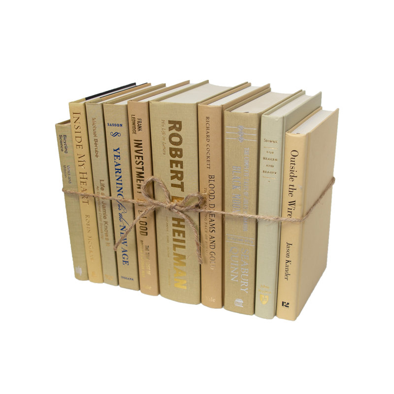 Ensemble de livres décoratifs modernes l 12 "