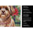 Liver Shih Tzu Christmas PoinsettIas Kitchen Towel-2080583824