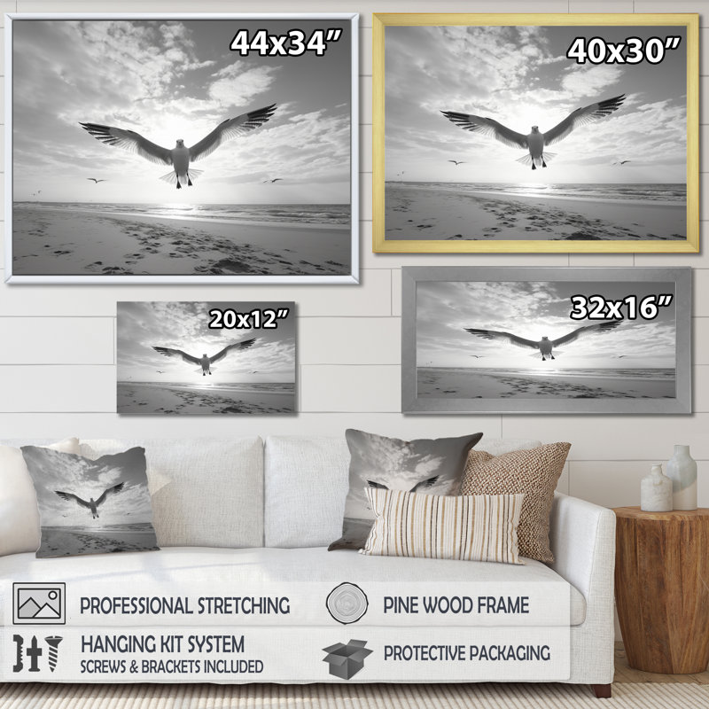 Gray Beach Seagulls In Flight II, reproduction d'art sur toile, H 16 po x l 32 po x P 1 po, Cadre simple noir