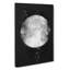 The Beauty of the Moon - Wrapped Canvas-56645048