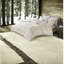 Ensembles de literie en microfibre douce, style simple TG métallique moderne