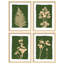 «Botanical Silhouette Artwork Green and Beige Nature Decor», 4 pièces-101520449-101520447