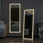 Miroir pleine grandeur Caprica-1846891151-1846891138