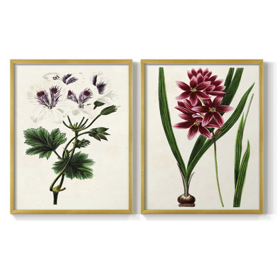 AntiqueFloralFolioIX - reproduction encadrée de qualité supérieure - prête à être accrochée - aucun clou requis - aucun clou requis