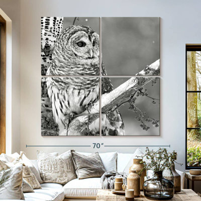 Brampt White Owl BW