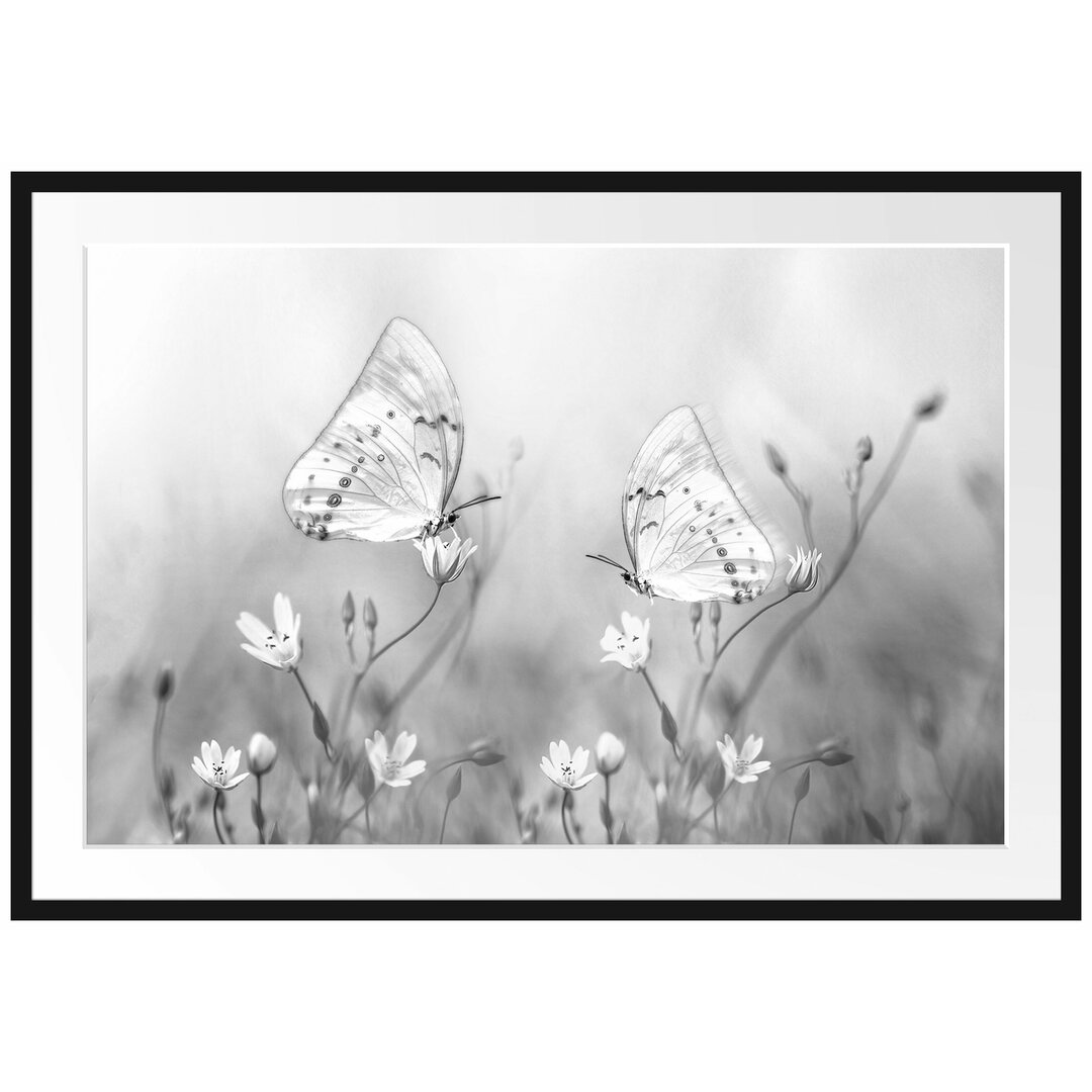 Gerahmtes Poster Schmetterling auf kleinen Blumen