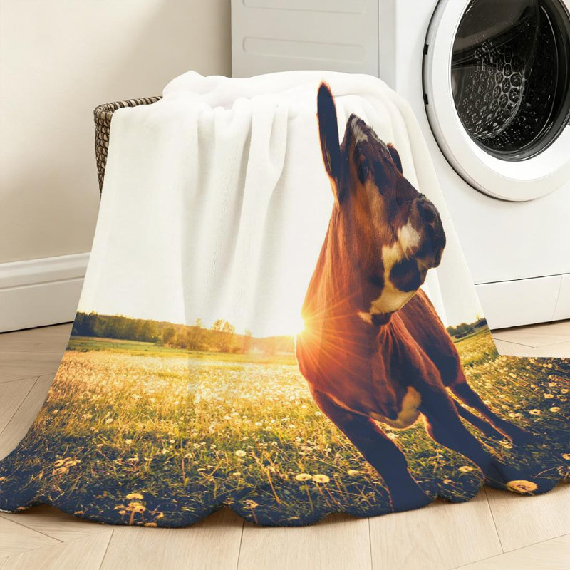 Jeté en flanelle transparente molletonnée, imprimé simple recto Happy Meadow, Jeté 50 po x 60 po