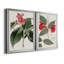 Flora Of The Tropics I - 2 Piece Single Picture Frame Print Set on Canvas-1216823030-1216823031